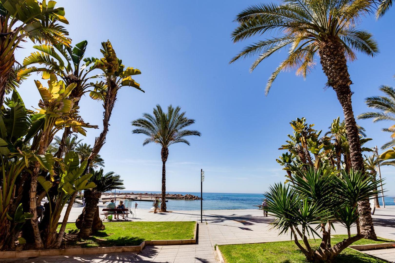 Apartamento Concordia Apartment Torrevieja Exterior photo